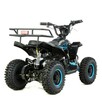 XTR Inny Mini Quad ATV ELEKTRYCZNY 800W 36V Lampa Model XTR E-M8 - 8