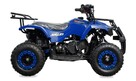 Inna Inny Mini Quad ATV 49cc BS HERCULES PILOTY Dwusuw AUTOMAT El. Start 6 cali - 8