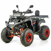 Inna Inny Quad ATV 250cc XTR 012/10 PRO AUTOMAT Hak Licznik Listwa LED - 3