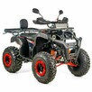 Inna Inny Quad ATV 250cc XTR 012/10 PRO AUTOMAT Hak Licznik Listwa LED - 4