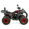 Inna Inny Quad ATV 250cc XTR 012/10 PRO AUTOMAT Hak Licznik Listwa LED - 6
