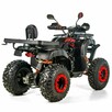 Inna Inny Quad ATV 250cc XTR 012/10 PRO AUTOMAT Hak Licznik Listwa LED - 7