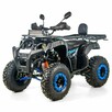 Inna Inny Quad ATV 250cc XTR 012/10 PRO AUTOMAT Hak Licznik Listwa LED - 12