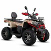 ASIX Inny Quad ATV ASIX Challenger 250cc Automat LED Wyciągarka Hak - 6