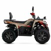 ASIX Inny Quad ATV ASIX Challenger 250cc Automat LED Wyciągarka Hak - 7