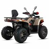 ASIX Inny Quad ATV ASIX Challenger 250cc Automat LED Wyciągarka Hak - 8