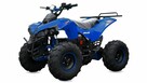 Inna Inny Quad ATV ELEKTRYCZNY H8 1500W 48V Koła 8 cali Układ Różnicowy 2 Biegi - 5
