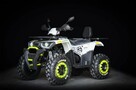 Inna Inny Quad ATV HERCULES Premium 250cc LED Licznik LCD Hak - 3