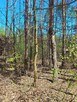 Działka rekreacyjna Jeziórko gm. Prażmów, Lipowa - 15