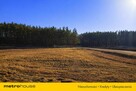 OBKAS DZIAŁKA BUDOWLANA Z WARUNKAMI ZABUDOWY! - 5