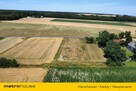 Działka na sprzedaż - Skęczniew - 11