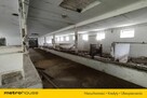 Agroturystyka w Miszewie,dwa stawy działka 1,53 ha - 11