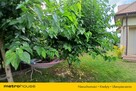 wolnostojący Łomianki, ul. Ogrodowa - 12