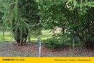 Działka 1200m2 w Teresinie- media - 6