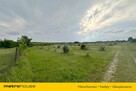 5 ha w jednym kawałku - Potycz, 40 km od Warszawy - 1