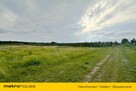 5 ha w jednym kawałku - Potycz, 40 km od Warszawy - 10
