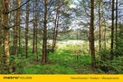 Działki rekreacyjne przy jeziorze - Borki, olecki - 8