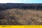 DZIAŁKA INWESTYCYJNA 2,9 HA NAD JEZIOREM - 4