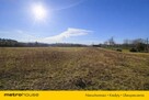 Działka usługowa 10 000 m² w Nieżywięciu  okazja! - 4