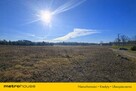 Działka usługowa 10 000 m² w Nieżywięciu  okazja! - 6