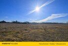Działka usługowa 10 000 m² w Nieżywięciu  okazja! - 7