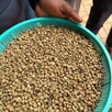 Kawa zielona – niepalona, Robusta 100% (Wietnam) - 3