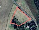 działki budowlane w Sądzi - 6