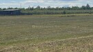 Działka budowlana 1547 m2 - koło Radomia - 4