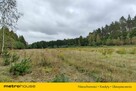 Na sprzedaż 3-ha działka leśna w okolicy Mławy - 7