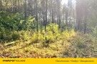 POWAŁKI działka budowlana na skraju lasu. - 5