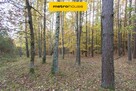 Działka LEŚNA - 4