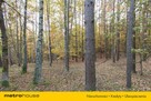 Działka LEŚNA - 5