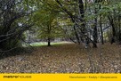 Działka rolna Rozdoły k. Sitna. - 7