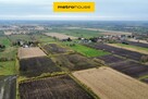 Twoje miejsce wśród natury  spokój blisko Elbląga - 3