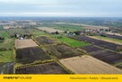 Krzewsk  Twój spokój i przestrzeń blisko Elbląga - 3