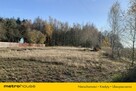 Działka Wola Wodyńska - 4