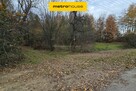 Działka na sprzedaż Cicibór Duży - 2