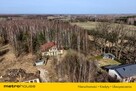 Dworek z potencjałem na dużej działce w Modlicy! - 9