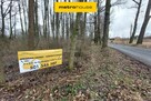 Kawałek lasu tylko dla siebie