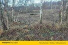 Działka pod magazyn energii i farmę PV - 16