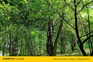 Działka inwestycyjna z widokiem na góry. 2x40arów - 10