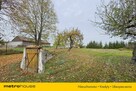 Ładne Siedlisko 2866m2 z domem 124m2 - Kijowiec - 5