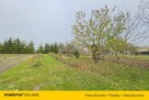 Ładne Siedlisko 2866m2 z domem 124m2 - Kijowiec - 7