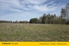 Dom, budynek gospodarczy, duża działka, Feliksów - 14