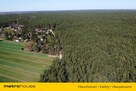 1.2 hektara - działka leśna  w miejscowości Łacha - 5