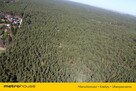 1.2 hektara - działka leśna  w miejscowości Łacha - 8