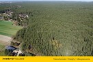 1.2 hektara - działka leśna  w miejscowości Łacha - 11