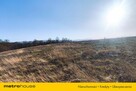 7 hektarów dla dewelopera lub do podziału - 6
