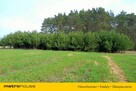 Działka orna w Uchaniu Dolnym k/Łowicza 24 000 m2 - 3