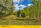 Działka budowlana,3000m2,pozwolenie,k.Skierniewice - 4